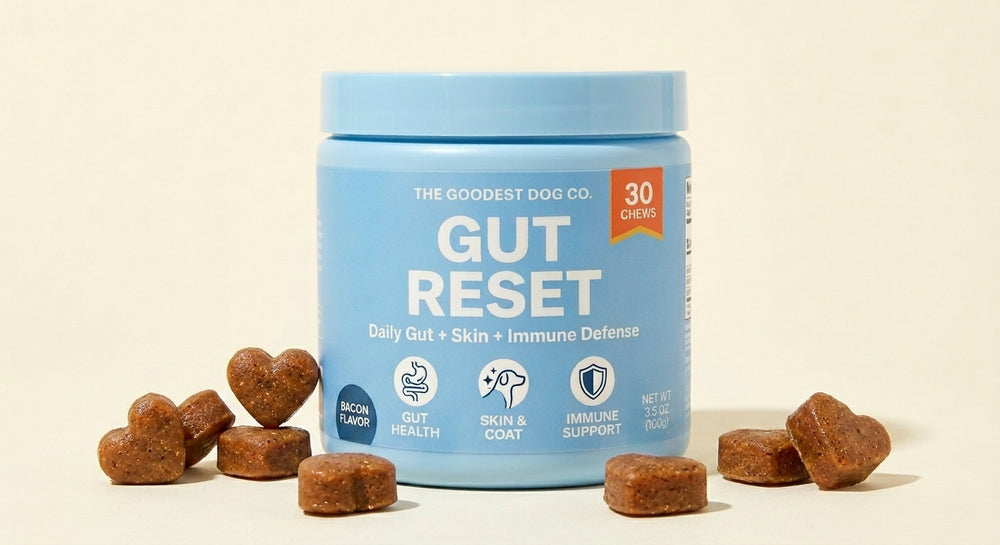 Gut Reset™ Daily Chews