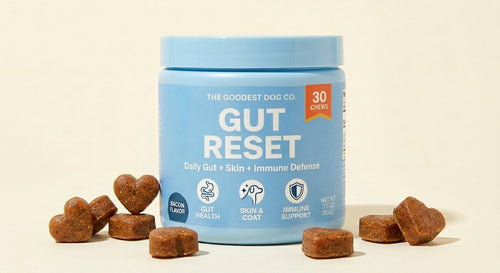 Gut Reset™ Daily Chews